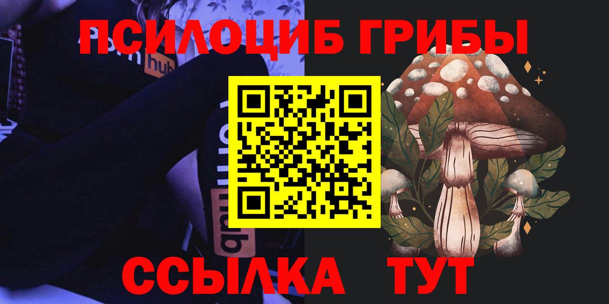Псилоцибиновые грибы мицелий  Вход с VPN  Бутурлиновка 